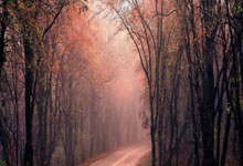 《天天耍大牌》 《联邦大作战》海选济南举行.