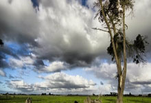 [英超]单场四张 利物浦、埃弗顿领跑英超宿敌红牌榜.