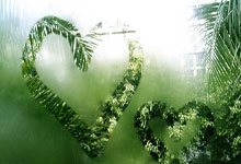 开云体育:世界杯亚洲区外围赛:中国队18强小组赛败给日本队.