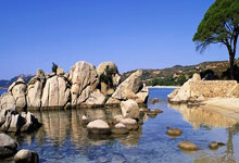 开云体育:状态欠佳!范子铭半场7投2中,罚球3中3,得到7分3篮板1助攻.